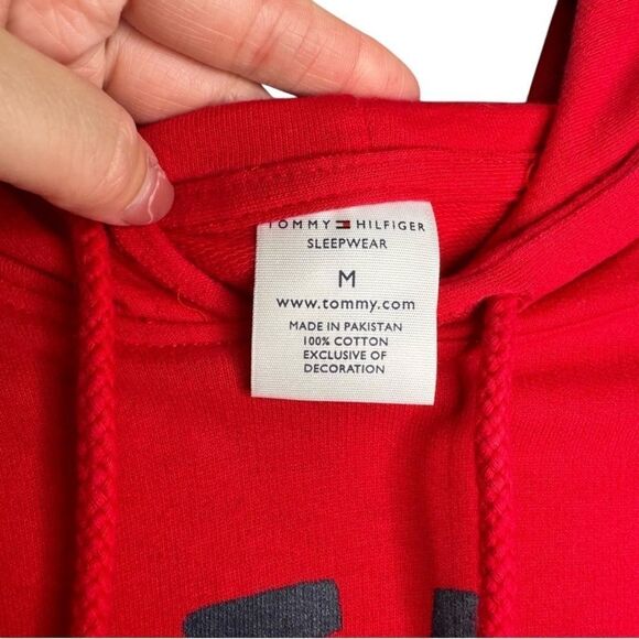 🔸BUNDLE ONLY🔸|EUC| TOMMY HILFIGER Oversized Pullover Hoodie - Picture 5 of 5